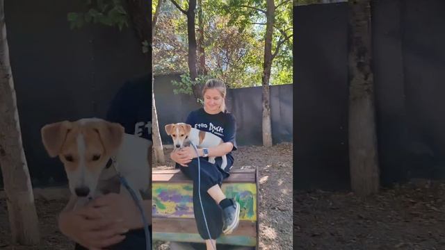 Зовём в команду 