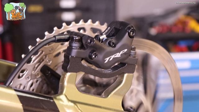 Conway Xyron S4.9 (2023) // BikeCheck