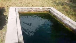 Адлер . Парк "Южные Культуры" 28 августа 2019год