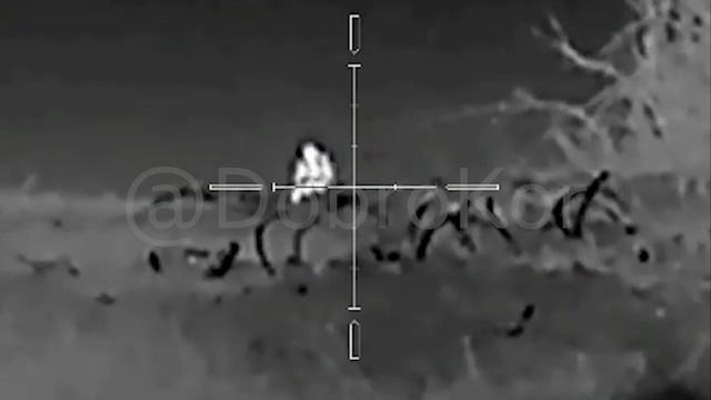 ⚡️СВО 18+ Сафари на диких kабанов. Работа российских снайперов. смотреть онлайн