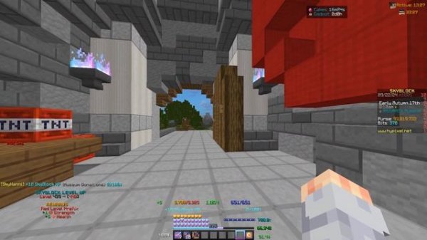 lvl 440 hypixel skyblock