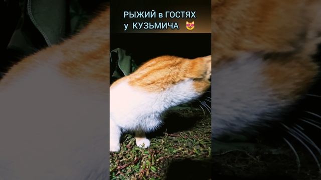 Рыжий в гостях у КУЗЬМИЧА смотреть онлайн