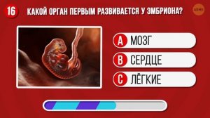 Виртуальная викторина, чтобы проверить ваши знания