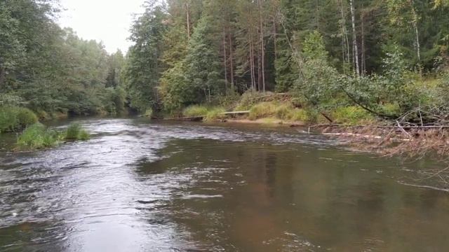 река Песь смотреть онлайн