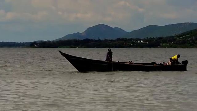 The Last Catch | Are We Catching Our Last Fish? (Multimedia Collaboration) смотреть онлайн