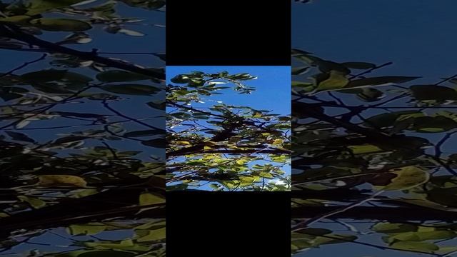 20241008_123324.mp4 смотреть онлайн