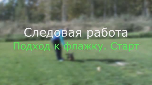 Следовая работа, подход к флажку, старт смотреть онлайн