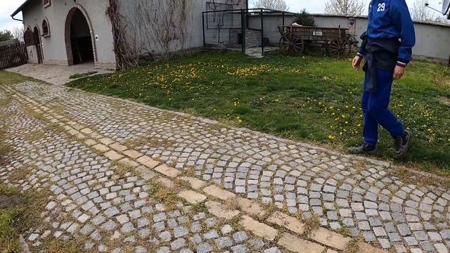 Staford i OGROMNA Presa Canario !!! смотреть онлайн