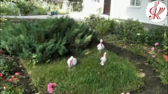 Видео – презентация «Благоустройство-2022 год. Троекуровское сельское поселение» смотреть онлайн