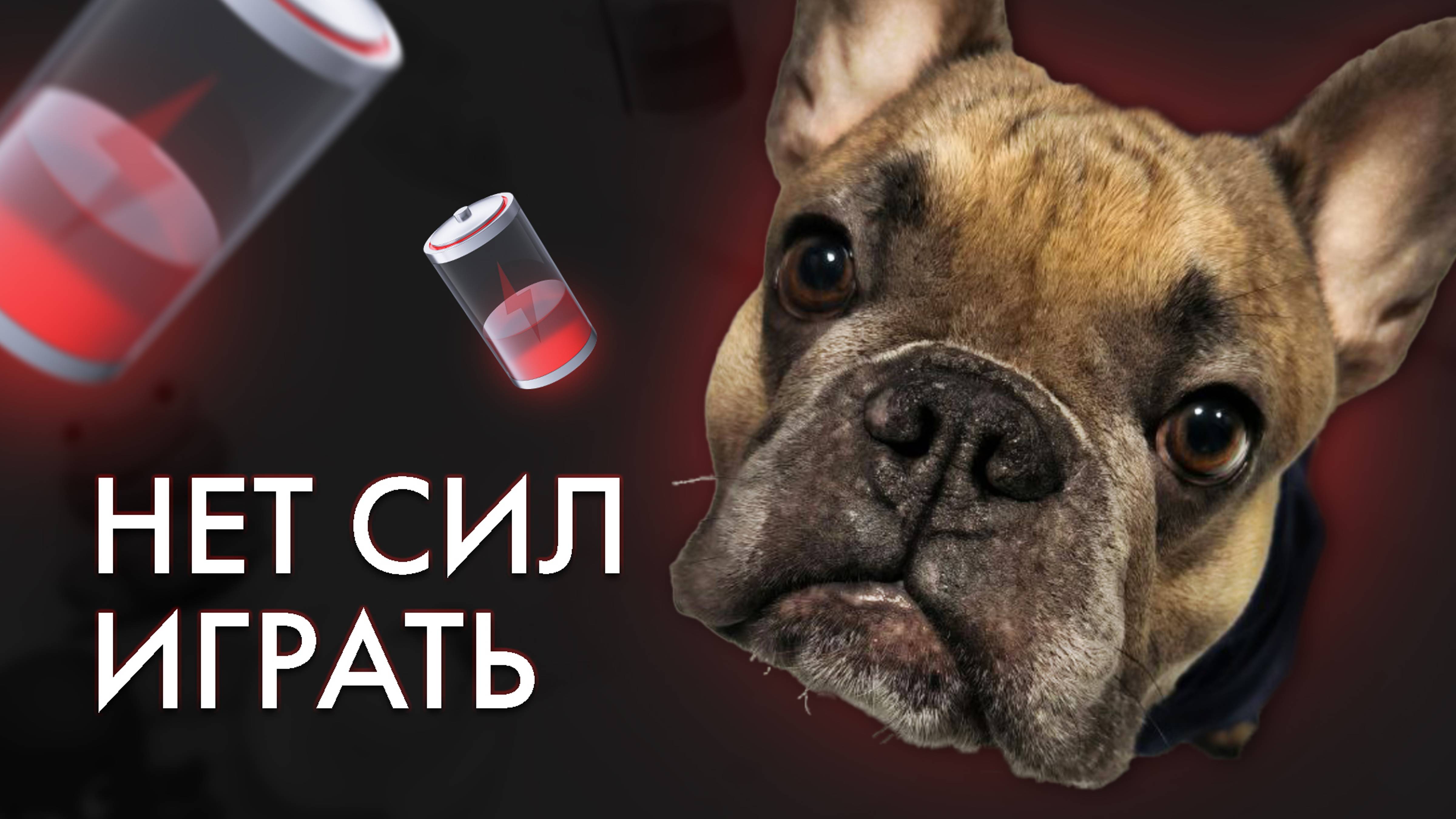 5 Способов Чем Занять Собаку Дома, Если Вы Устали смотреть онлайн