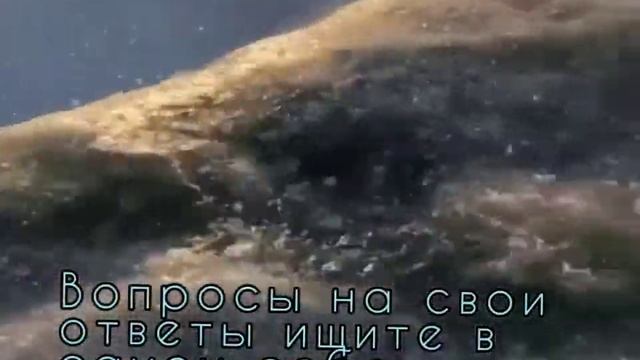 ПОДCKАЗKИ НА КАЖДЫЙ ДЕНЬ ЧЕРЕЗ ПРИТЧУ О ЦАРЕ СОЛОМОНЕ. смотреть онлайн