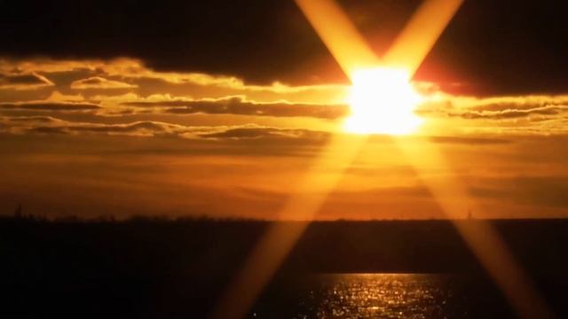 Andruchowytsch's Werwolf Sutra // Пиємо, пиємо… смотреть онлайн