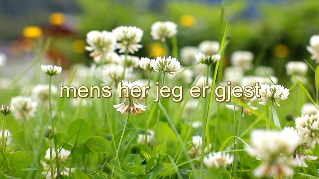 Jesus, det eneste - Anders Olsen Steinberg synger смотреть онлайн