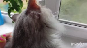 Поезд Челябинск - Адлер На море на поезде  собираю чемодан на море. Первый день в поезде.