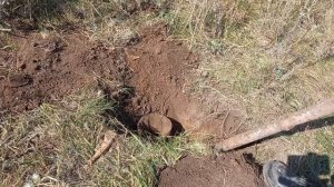 КОПАЮ МЕТАЛЛ НА УРОЧИЩЕ!!МНОГО ЛИТОГО МЕТАЛЛА Я НАШЕЛ.