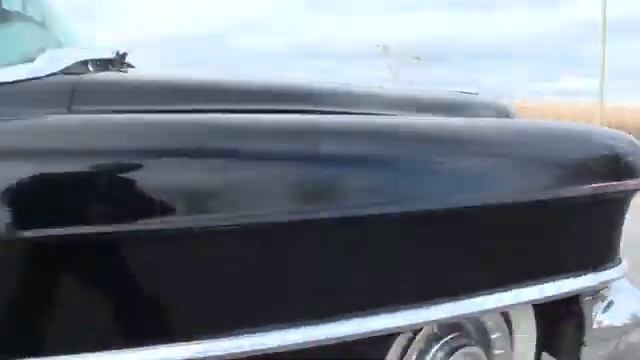 Filly and the Flops play Black Cadillac смотреть онлайн