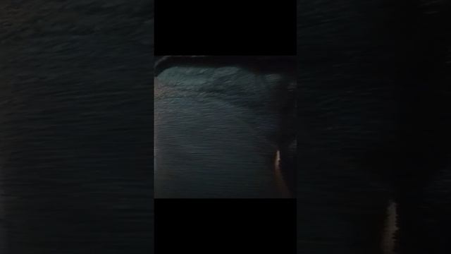 VID_20241008_124210.mp4 смотреть онлайн