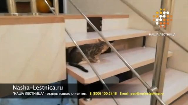 16 Наша Лестница отзывы клиентов смотреть онлайн
