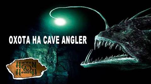 Haven and Hearth Охота на cave angler