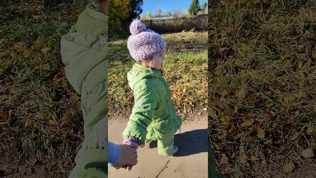 Дачные будни. Купили дачу 03.10.2024. Начинаем осваиваться. Готовим участок к зиме. смотреть онлайн