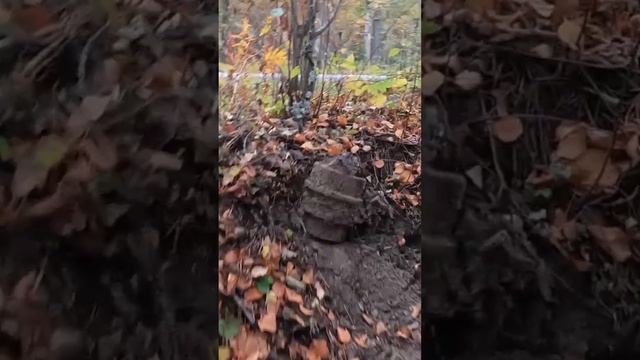 Сейчас откопаем! #металлоискатель смотреть онлайн