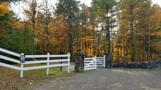 Dog Strolling in William Lyon Mackenzie King Estate смотреть онлайн