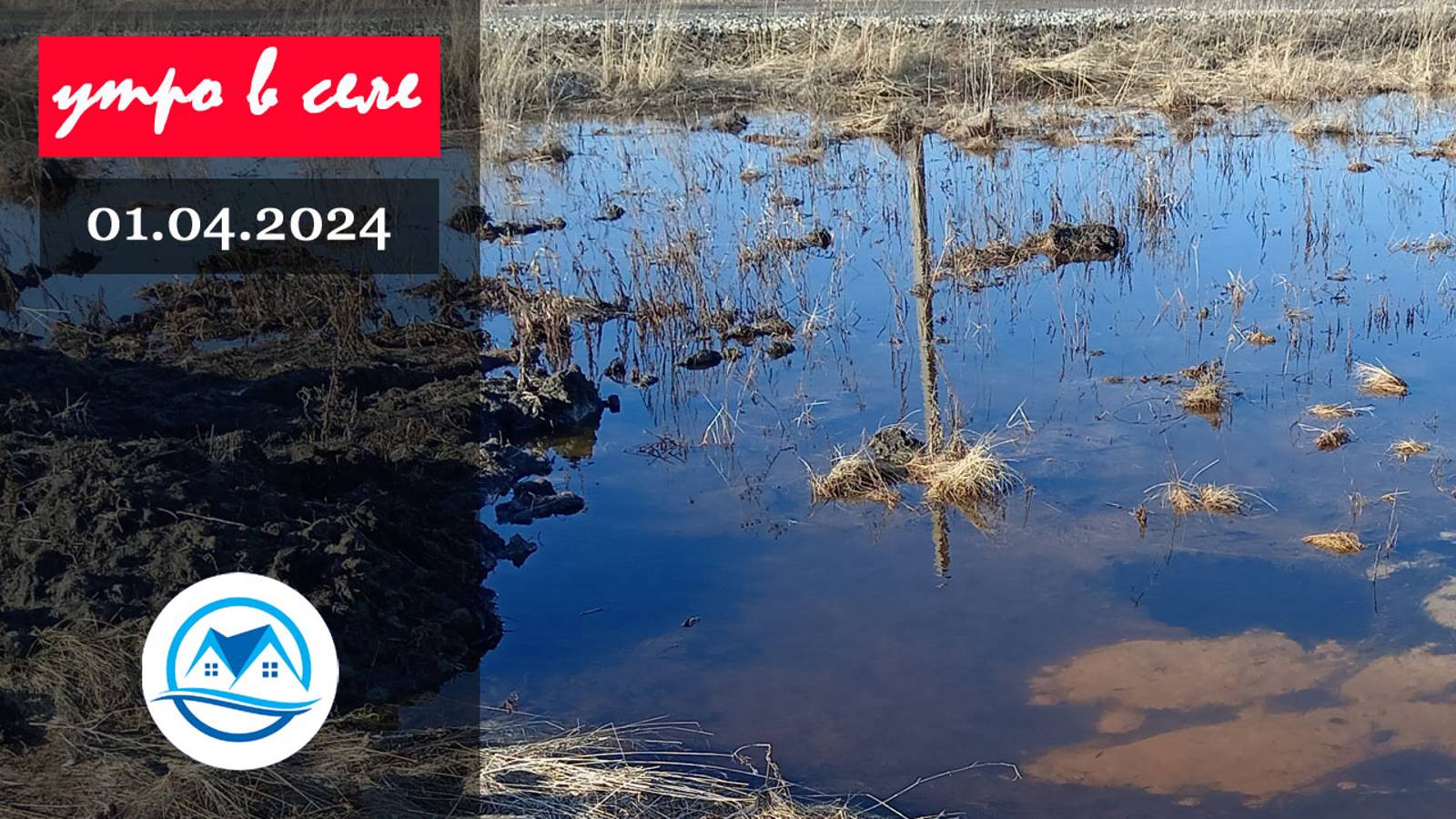 Утро в селе 01.04.2024 смотреть онлайн