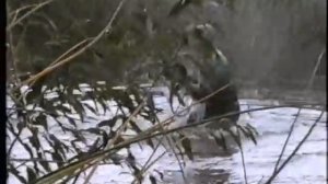 группа Контингент. _А у разведчика судьба  порой..._