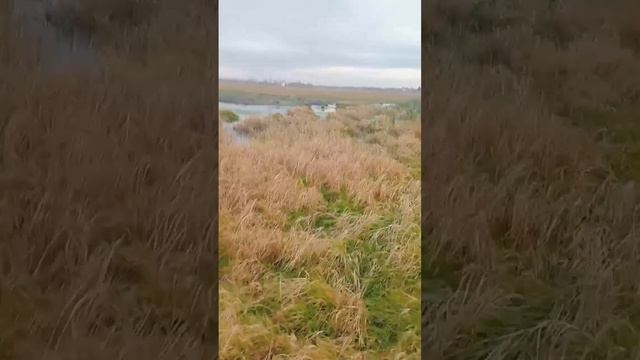 Строительство очистных пгт. Промышленная