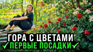 ПЕРВЫЕ ЦВЕТОЧНЫЕ ПОСАДКИ В СЛОЖНЫЙ ГРУНТ НА ГОРЕ