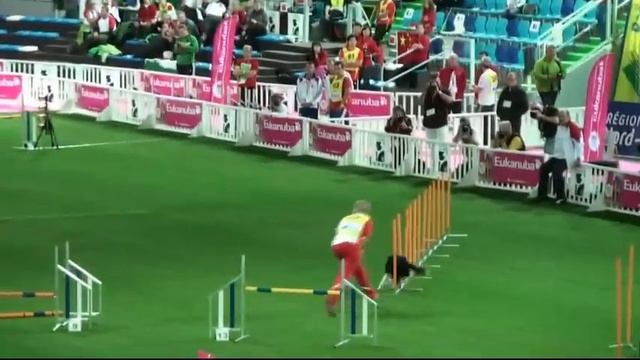 Susi Novak mit Mawlch Minn, AUT, Jumping Large, Agility WC 2011 смотреть онлайн