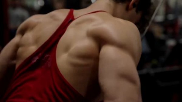 GYM HARDSTYLE   I Infinity X ET l DAVID LAID Hardstyle