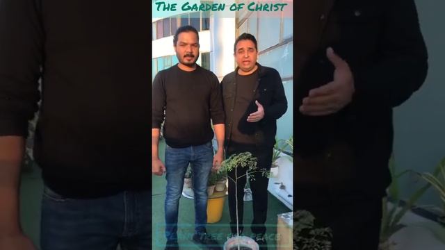 Thank you very Much Brother Kamran Michael For your Appreciation #plantreeforpeace🌳🕊️🇵🇰 смотреть онлайн