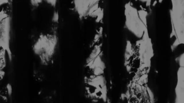 Camillo Togni: Sonata per flauto e pianoforte (1953) смотреть онлайн