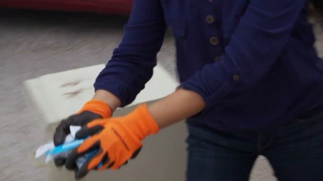Mum And Daughter Dodge Rats And Sharp Nails As They Dumpster Dive For Free Stuff | So Freakin' Chea смотреть онлайн