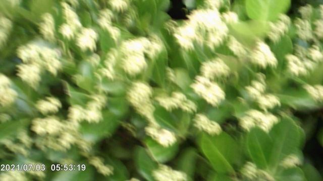 DSCF0002Море Турбаза Приморская Новомихайловский  2021 год.