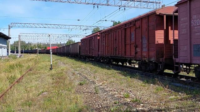 Грузовой поезд с локомотивом 2ЭС4К пролетает станцию Цветочная в летний погожий день в Петербурге