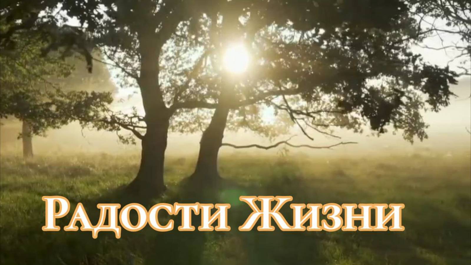 Радости Жизни #Проза #Жизнь #Радость смотреть онлайн