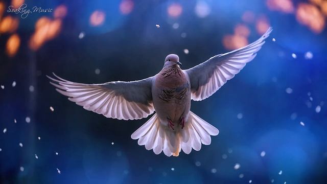 Музыка для молитвы смотреть онлайн