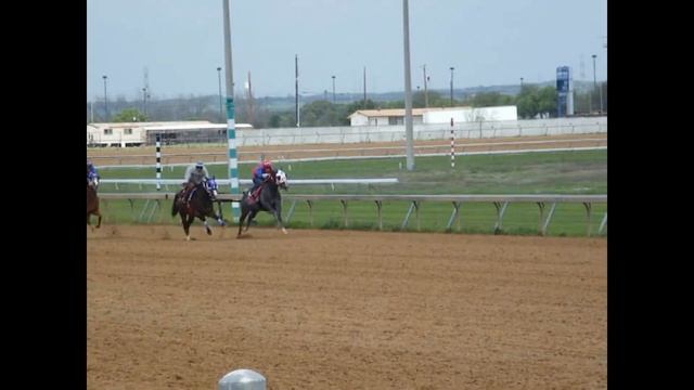 Retama Park Training Race 6 - March 17, 2017 смотреть онлайн