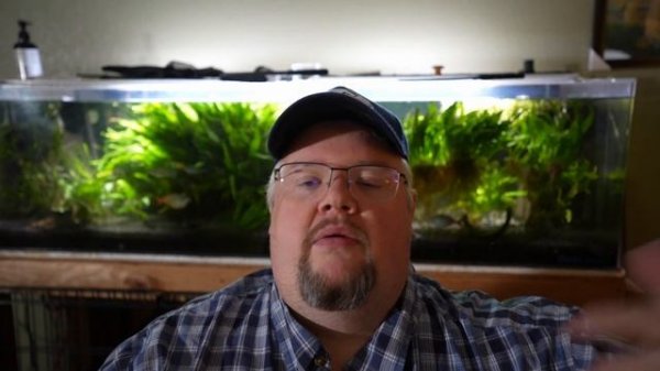 Seachem Tidal aquarium filter long term review - How does it hold up against the AquaClear?