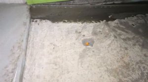 Как сделать душевой поддон вровень с полом!