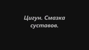 Цигун Смазка суставов