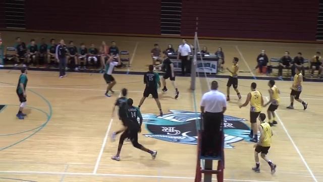 Coral Reef Boys Volleyball 2012-2013 смотреть онлайн
