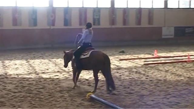 RICKASHAYS FRISCO & Sophie Frimmel --- AQHA ÖM --- OKT 2014 смотреть онлайн