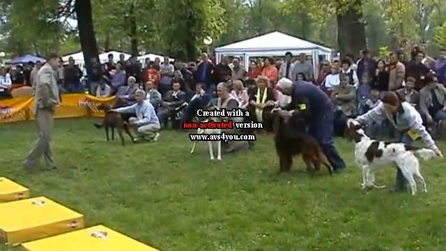 Nenad Djordjic Poenter Bobi Tref Izložba смотреть онлайн