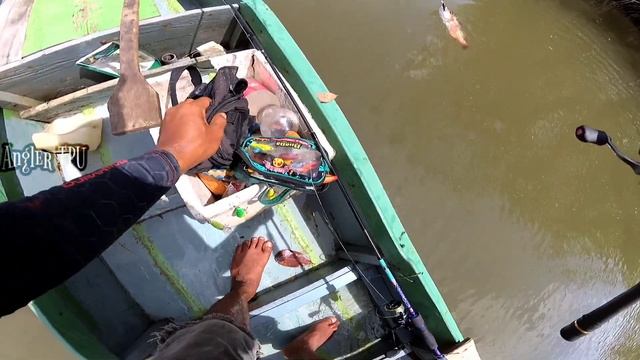 MANCING PREDATOR MUARA TEHNIK TROLING DAN CASTING || CAPUNG 662 UL FT OKUMA SCORPIO 1000 A смотреть онлайн