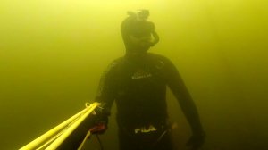 Подводная охота в заросшей реке Много мелкой рыбы