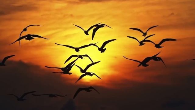 Боже, нет Тебя дороже - Валерия Величко. Церковь Божия в Царицыно смотреть онлайн