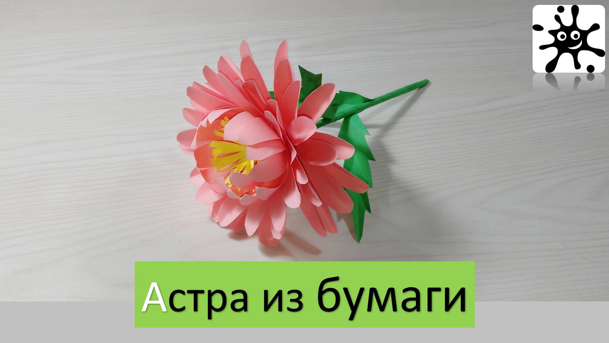 Астра из бумаги. Астра своими руками смотреть онлайн